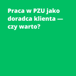 Praca w PZU jako doradca klienta — czy warto?