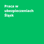 Praca w ubezpieczeniach Śląsk