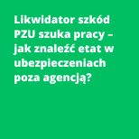Likwidator szkód PZU szuka pracy – jak znaleźć etat w ubezpieczeniach poza agencją?