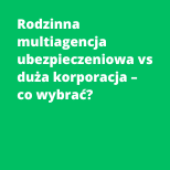 Rodzinna multiagencja ubezpieczeniowa vs duża korporacja – co wybrać?