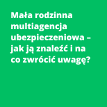 Mała rodzinna multiagencja ubezpieczeniowa – jak ją znaleźć i na co zwrócić uwagę?